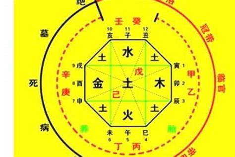 免費算五行喜用神|八字喜用神查詢